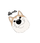 柴犬うめはスタンプ（個別スタンプ：18）
