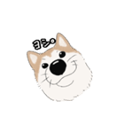 柴犬うめはスタンプ（個別スタンプ：23）
