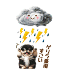 雨の日のポメラニアンに癒される[BIG]（個別スタンプ：26）