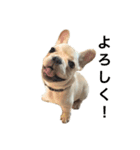 にくまんニック（個別スタンプ：3）