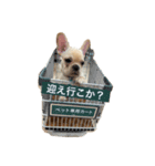 にくまんニック（個別スタンプ：7）