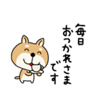 柴犬 ビジネススタンプ2（個別スタンプ：1）