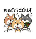 柴犬 ビジネススタンプ2（個別スタンプ：8）