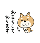 柴犬 ビジネススタンプ2（個別スタンプ：16）