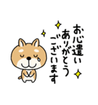 柴犬 ビジネススタンプ2（個別スタンプ：17）