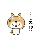 柴犬 ビジネススタンプ2（個別スタンプ：30）