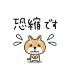 柴犬 ビジネススタンプ2（個別スタンプ：32）