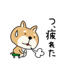 柴犬 ビジネススタンプ2（個別スタンプ：34）