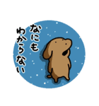 犬の気軽なリアクション（個別スタンプ：16）