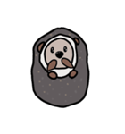 ハムのかわいい友達スタンプ 第1弾＋（個別スタンプ：16）