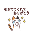 とびミケちゃん-推し活-（個別スタンプ：33）