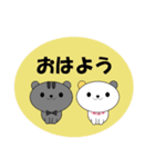 仲良し猫たちの日常-基本スタンプセット-（個別スタンプ：1）