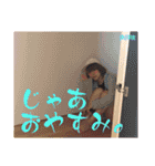 Canary歌詞スタンプ（個別スタンプ：23）