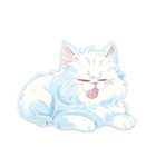 fluffy white cats（個別スタンプ：24）