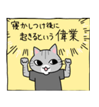 白目ねこと子供たちの育児スタンプ（個別スタンプ：19）