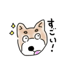 BeeTAN オリジナルスタンプ4（個別スタンプ：12）