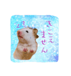 ハムスターの伝言（個別スタンプ：1）
