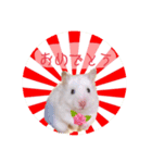 ハムスターの伝言（個別スタンプ：6）