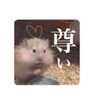 ハムスターの伝言（個別スタンプ：8）