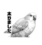 AI・モノクロ鳥(敬語)（個別スタンプ：27）