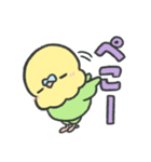 文字で伝えるセキセイインコちゃん（個別スタンプ：13）