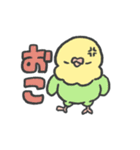 文字で伝えるセキセイインコちゃん（個別スタンプ：31）