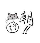 美文字と雑なネコ（個別スタンプ：1）