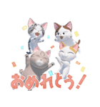 こねこのチー ポンポンらー夏休み（個別スタンプ：30）