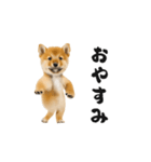 踊る柴犬くん（個別スタンプ：2）