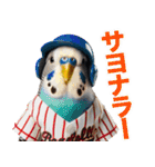 セキセイインコ 40面相（個別スタンプ：13）