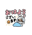 いぬらいふ（個別スタンプ：13）