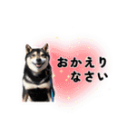 毎日にもっと柴犬を（個別スタンプ：31）