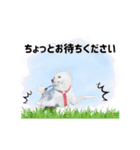 毎日にもっと柴犬を（個別スタンプ：36）