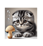 使いやすい猫と茸時々バナナ（個別スタンプ：11）