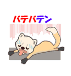 大阪生まれのテンちゃん（個別スタンプ：11）