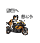 バイクに乗る猫【関東近郊！ツーリング！】（個別スタンプ：5）