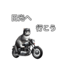 バイクに乗る猫【関東近郊！ツーリング！】（個別スタンプ：7）