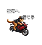 バイクに乗る猫【関東近郊！ツーリング！】（個別スタンプ：9）