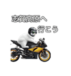 バイクに乗る猫【関東近郊！ツーリング！】（個別スタンプ：10）