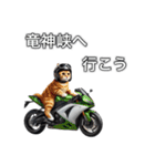 バイクに乗る猫【関東近郊！ツーリング！】（個別スタンプ：14）