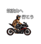 バイクに乗る猫【関東近郊！ツーリング！】（個別スタンプ：15）