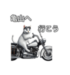 バイクに乗る猫【関東近郊！ツーリング！】（個別スタンプ：17）