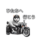 バイクに乗る猫【関東近郊！ツーリング！】（個別スタンプ：18）