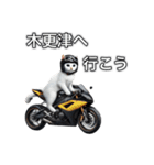 バイクに乗る猫【関東近郊！ツーリング！】（個別スタンプ：22）