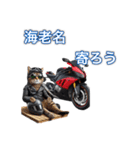 バイクに乗る猫【関東近郊！ツーリング！】（個別スタンプ：26）