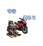 バイクに乗る猫【関東近郊！ツーリング！】（個別スタンプ：27）