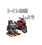 バイクに乗る猫【関東近郊！ツーリング！】（個別スタンプ：30）