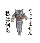 〇〇さんちのねこちゃん（個別スタンプ：7）