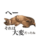 〇〇さんちのねこちゃん（個別スタンプ：9）