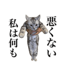 〇〇さんちのねこちゃん（個別スタンプ：10）